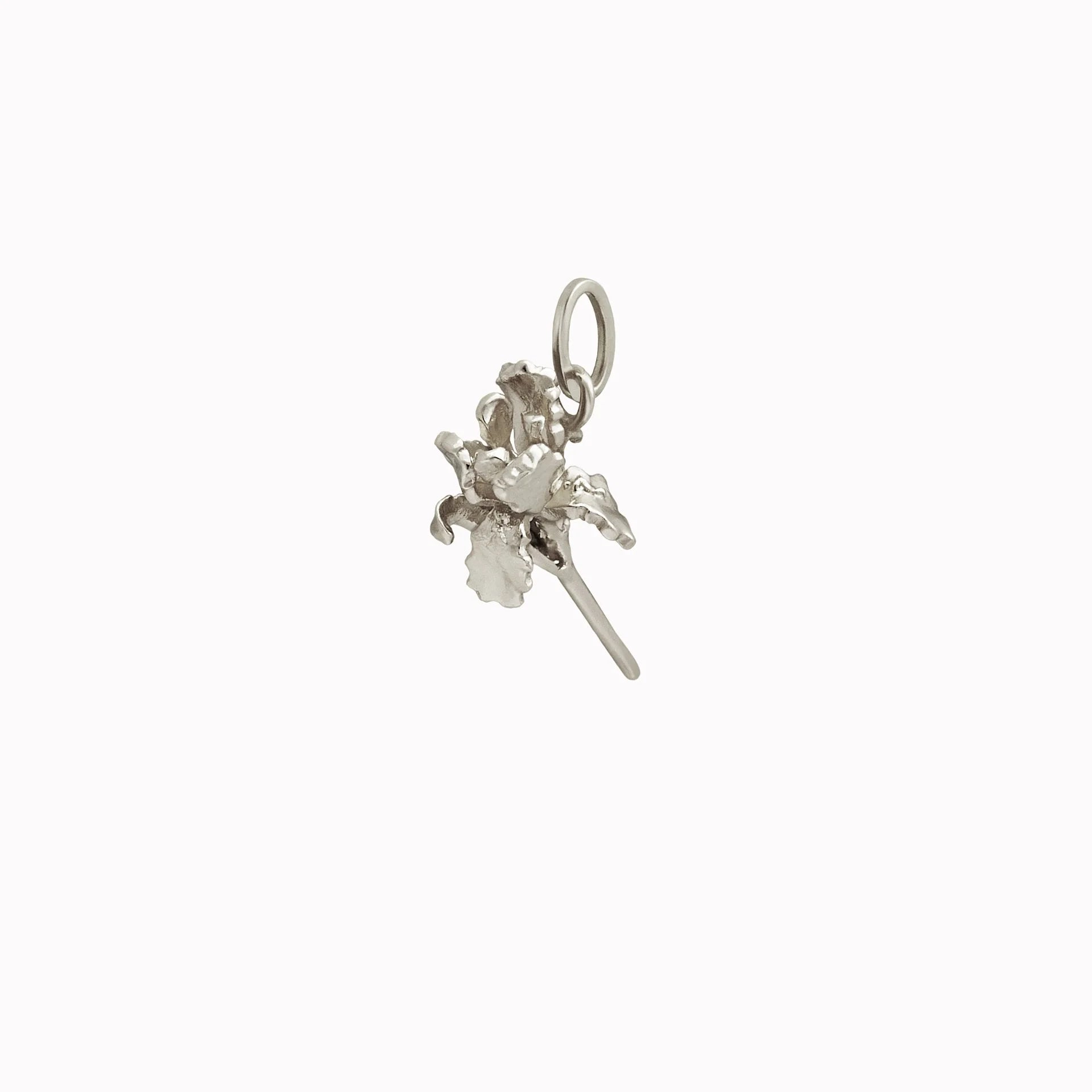 Silver iris charm on a white background