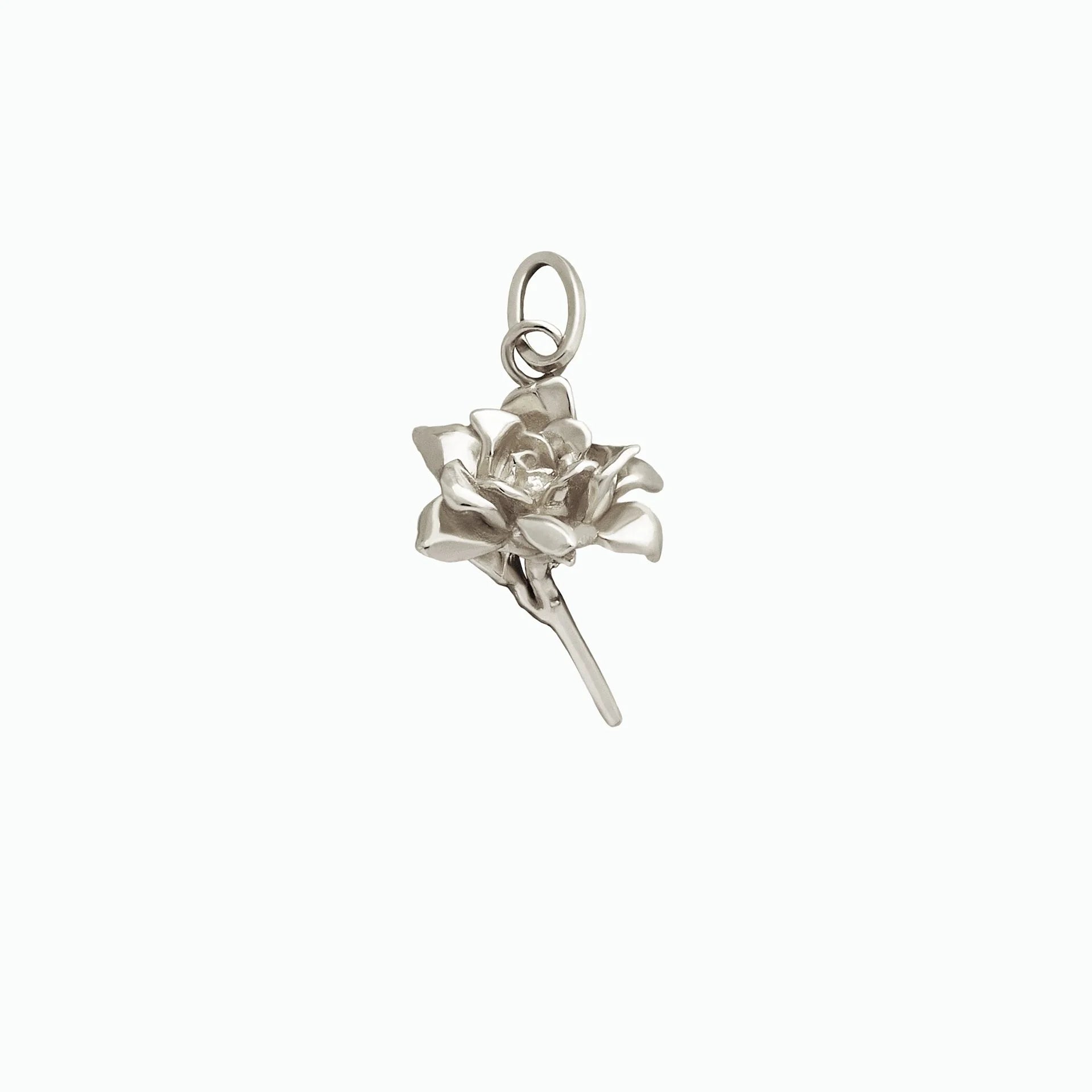 Silver rose pendant on a white background