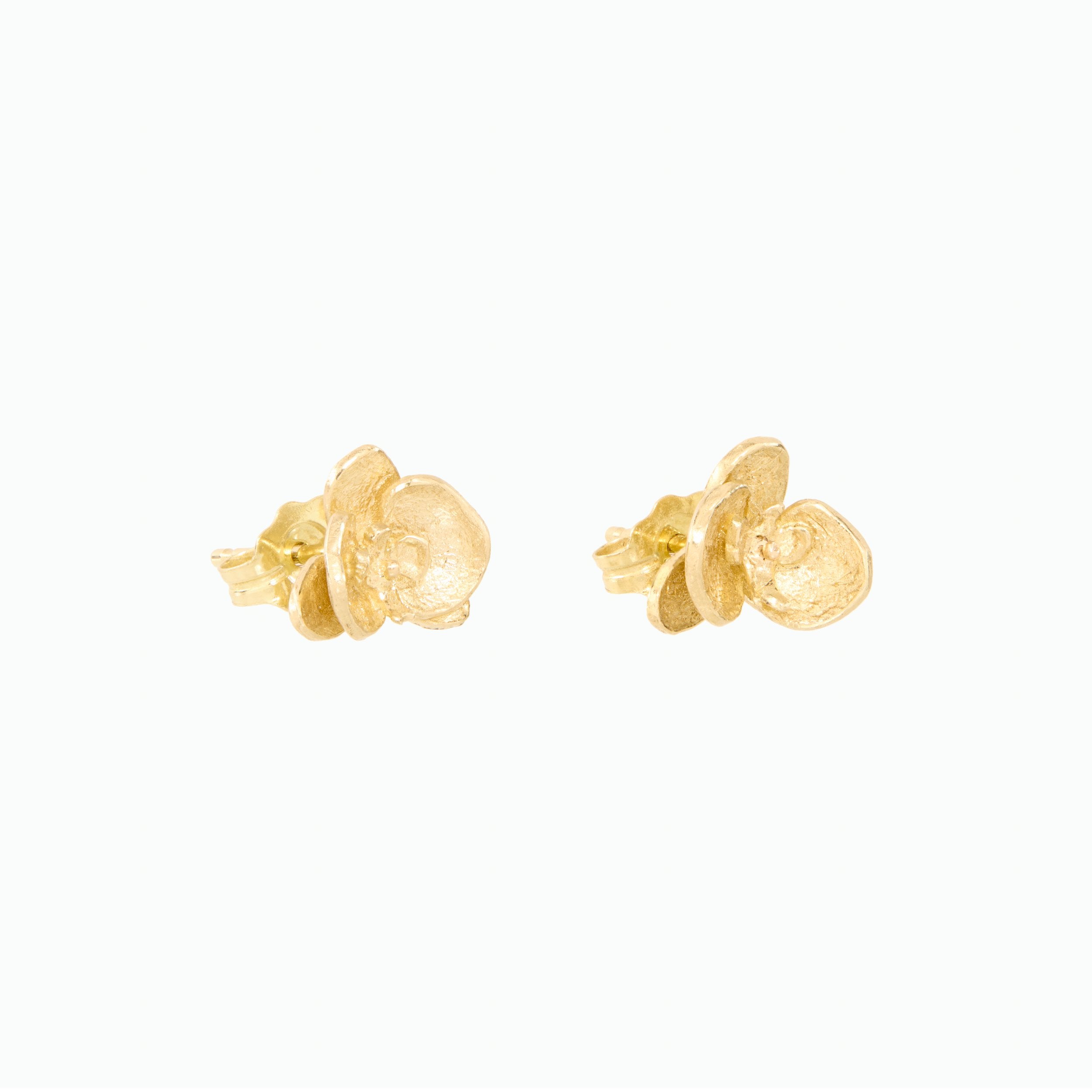 Pair of gold earrings on a white background