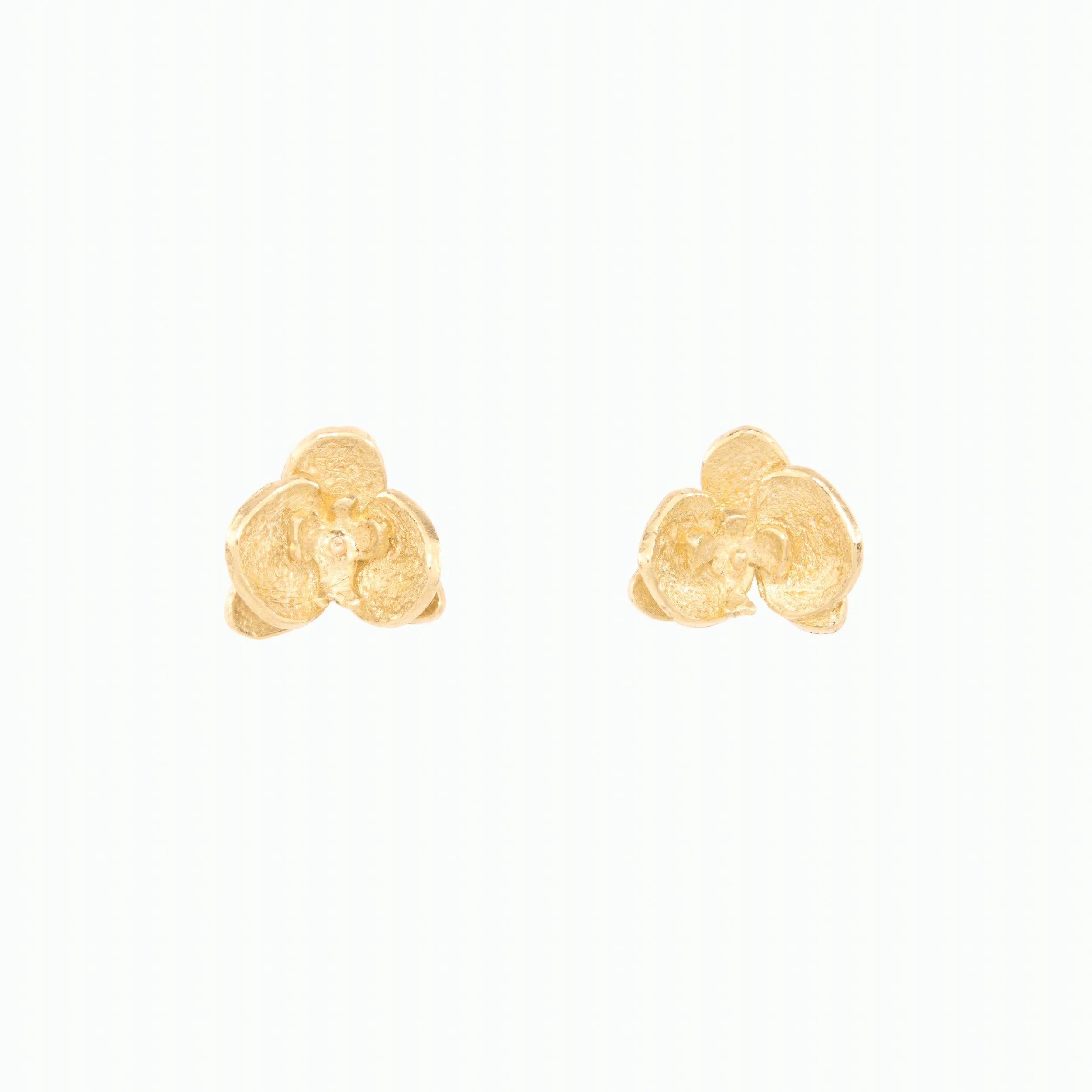 Pair of gold earrings on a white background