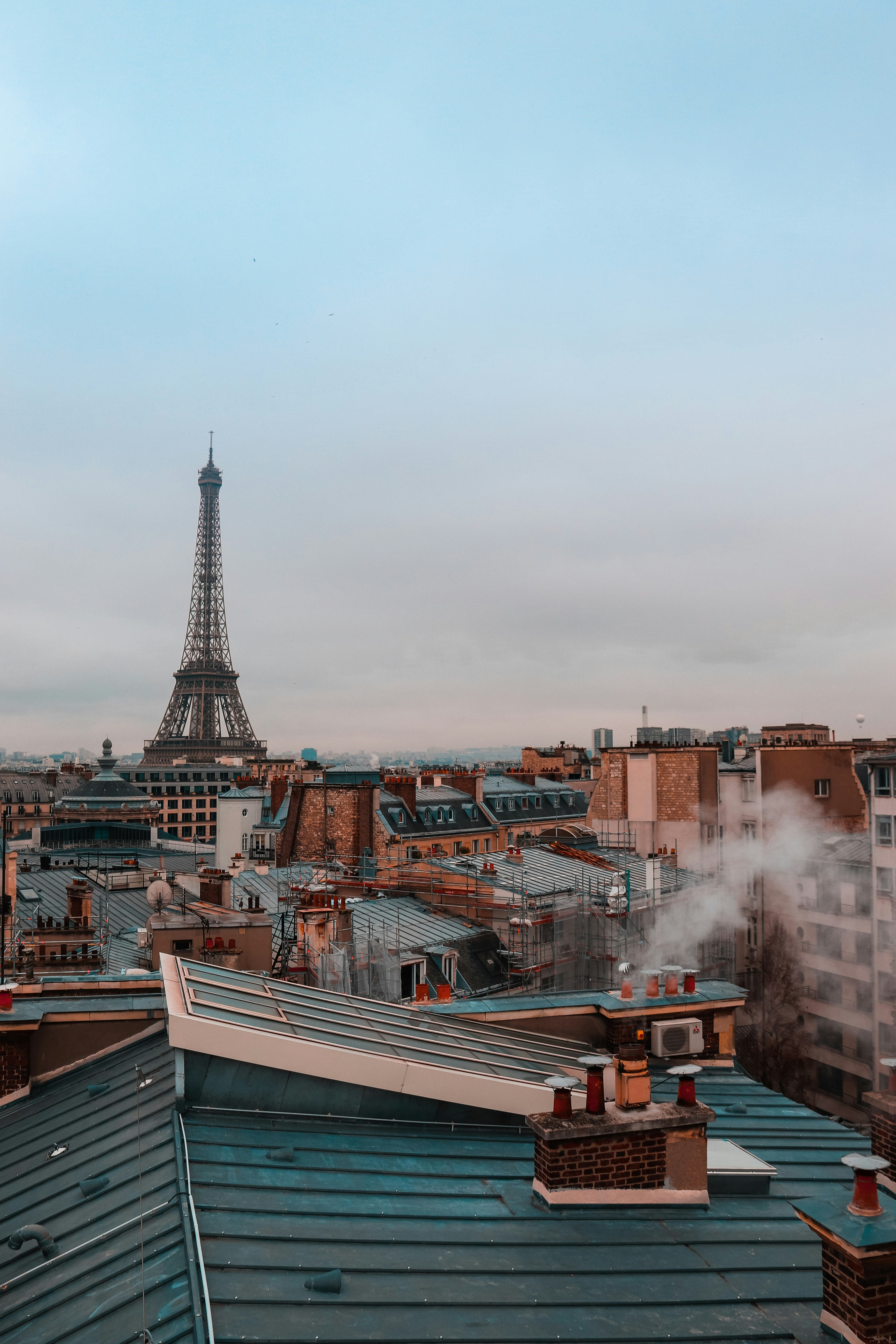 View of the Eiffel Tower from a rooftop in Paris with a clear sky.